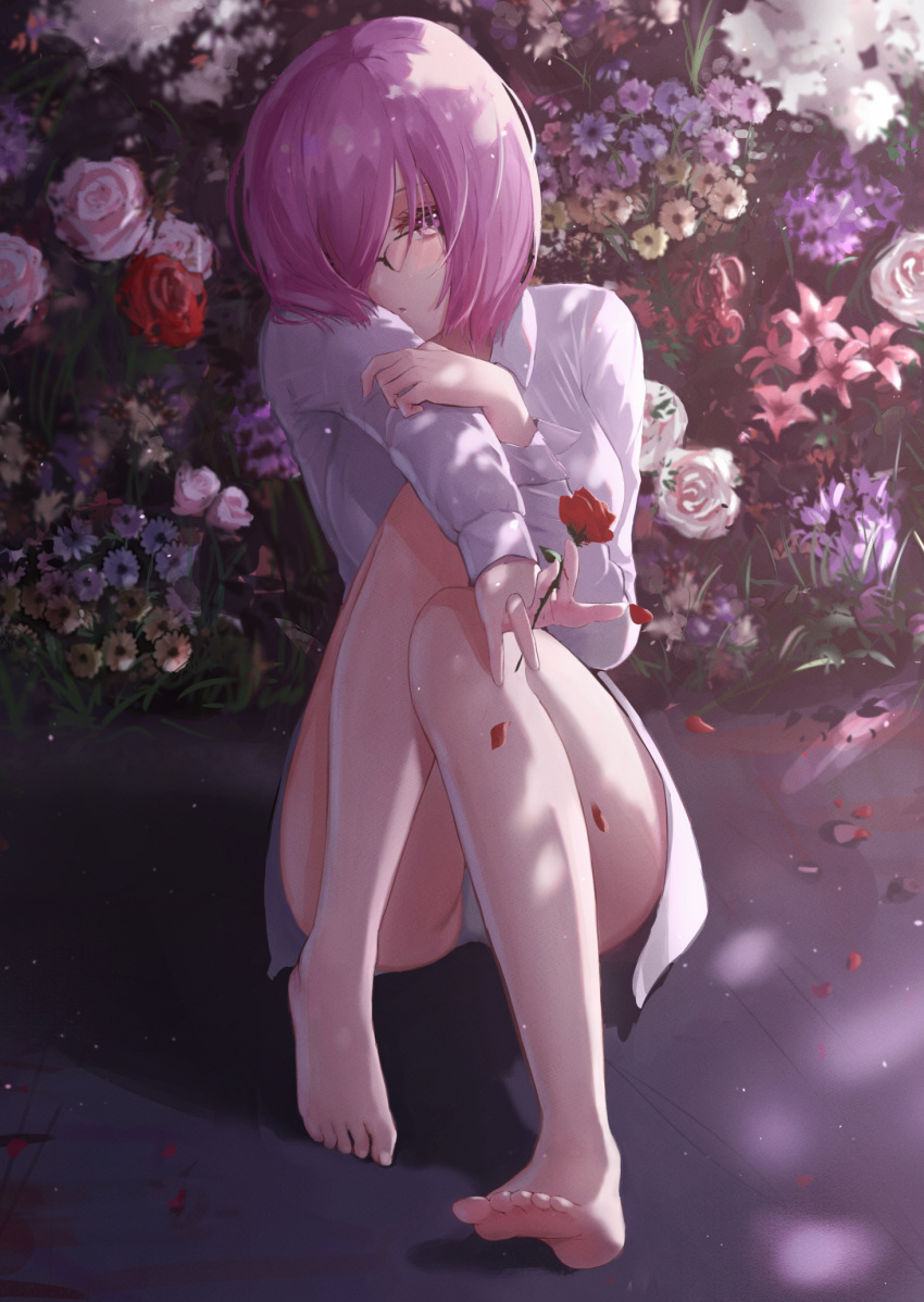 1girl, barefoot, blue_flower, cp_(tlstjdghek), fate/grand_order, fate_(series), flower, full_body, hair_over_one_eye, highres, holding, holding_flower, long_sleeves, looking_at_viewer, mash_kyrielight, outdoors, over-rim_eyewear, panties, petals, pink_flower, pink_hair, red_flower, red_rose, rose, semi-rimless_eyewear, shirt, short_hair, sitting, soles, solo, underwear, violet_eyes, white_flower, white_panties, white_rose, white_shirt, yellow_flower