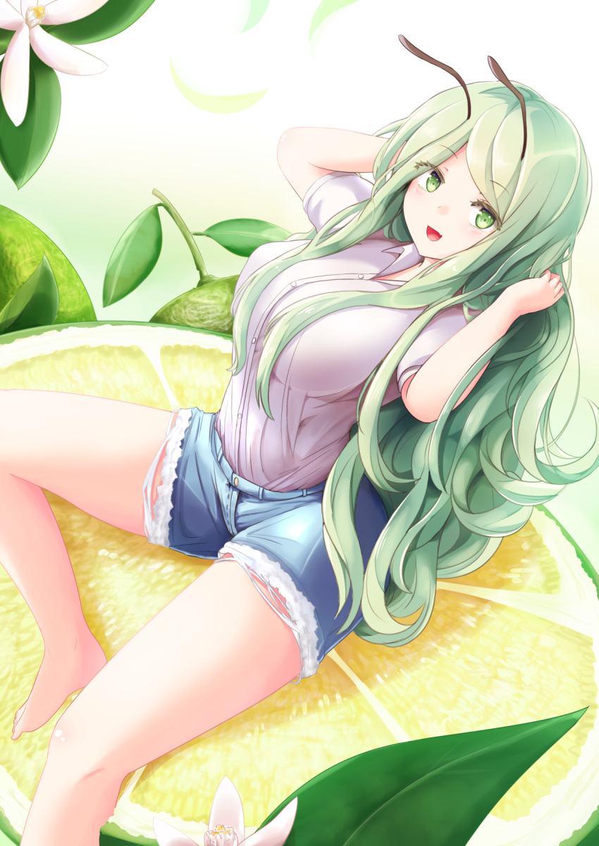 adda, alternate_breast_size, alternate_costume, alternate_hair_length, alternate_hairstyle, antennae, arched_back, arms_up, barefoot, breasts, commentary_request, cutoffs, denim, denim_shorts, dutch_angle, eyebrows_visible_through_hair, eyelashes, fang, flower, food, fruit, gradient, gradient_background, green_eyes, green_hair, hands_in_hair, highres, large_breasts, lavender_shirt, long_hair, looking_at_viewer, on_food, open_mouth, short_sleeves, shorts, sitting, skin_fang, touhou, very_long_hair, wriggle_nightbug, yuzu_(fruit)