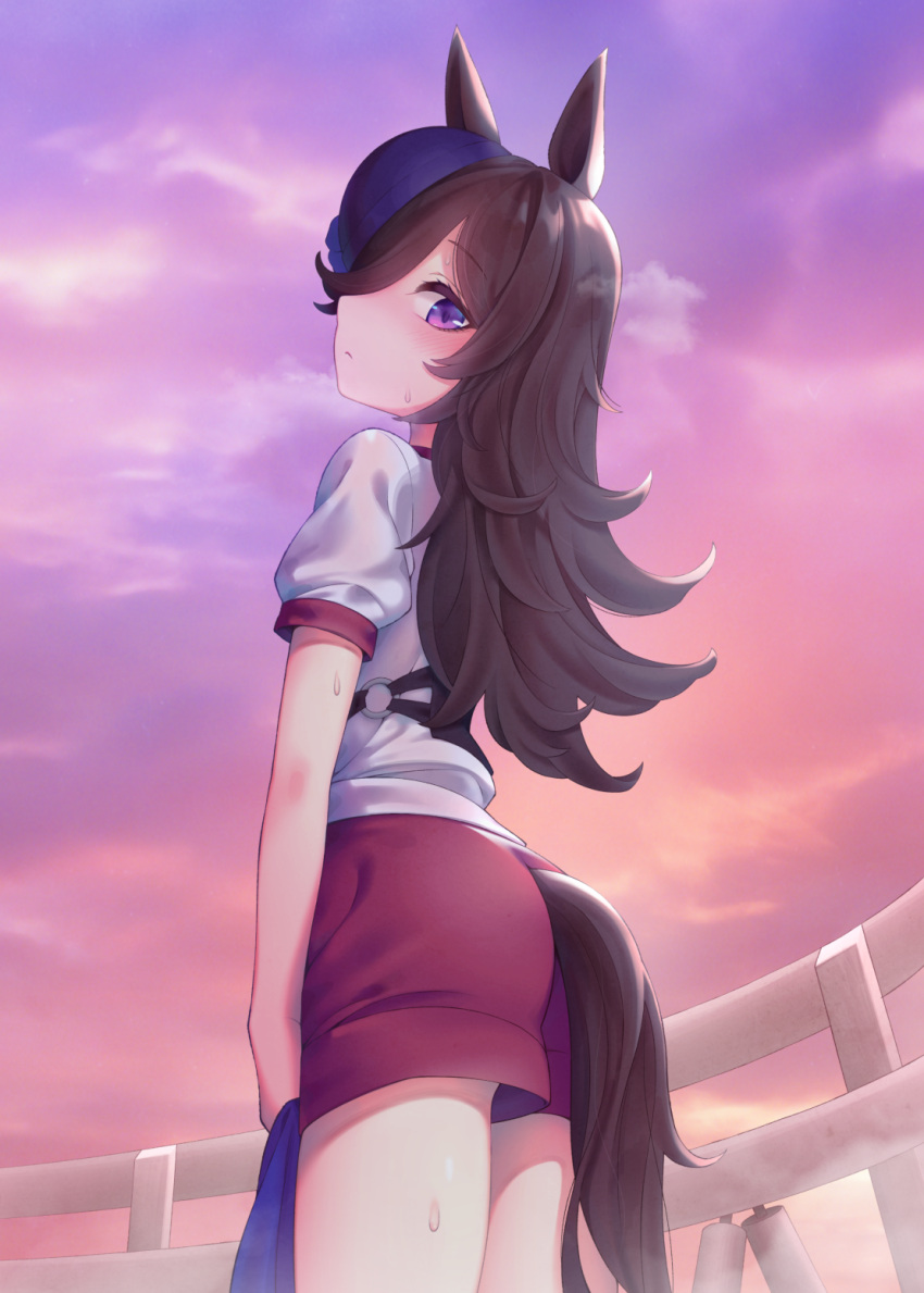 1girl, animal_ears, bloomers, blue_hair, blush, brown_hair, error, fence