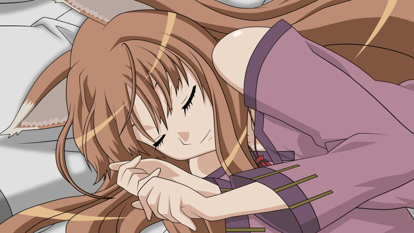 animal_ears, closed_eyes, holo, paperplate, sleeping, spice_and_wolf, vector