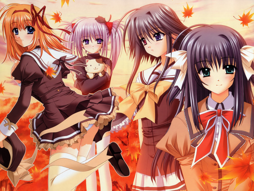 absurdres, autumn, black_hair, blue_eyes, blush, fuyou_kaede, green_eyes, hair_ribbon, hat, heterochromia, highres, leaf, mayumi_thyme, nishimata_aoi, official_art, orange_hair, panties, pantyshot, primula, purple_eyes, really?_really!, ribbon, school_uniform, short_hair, shuffle, shuffle!, silver_hair, stuffed_animal, stuffed_toy, suzuhira_hiro, thighhighs, twintails, underwear, yae_sakura, zettai_ryouiki