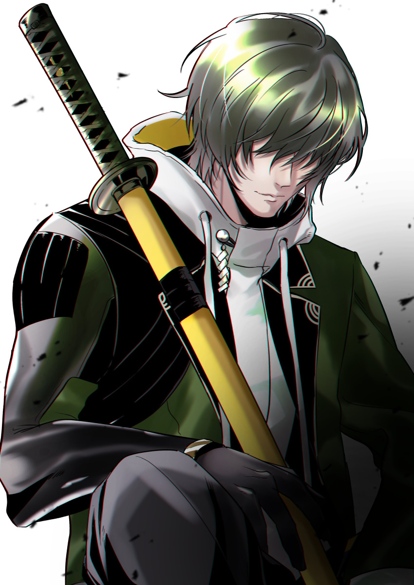 1boy, absurdres, black_hair, closed_mouth, green_jacket, hair_over_eyes, highres, hood