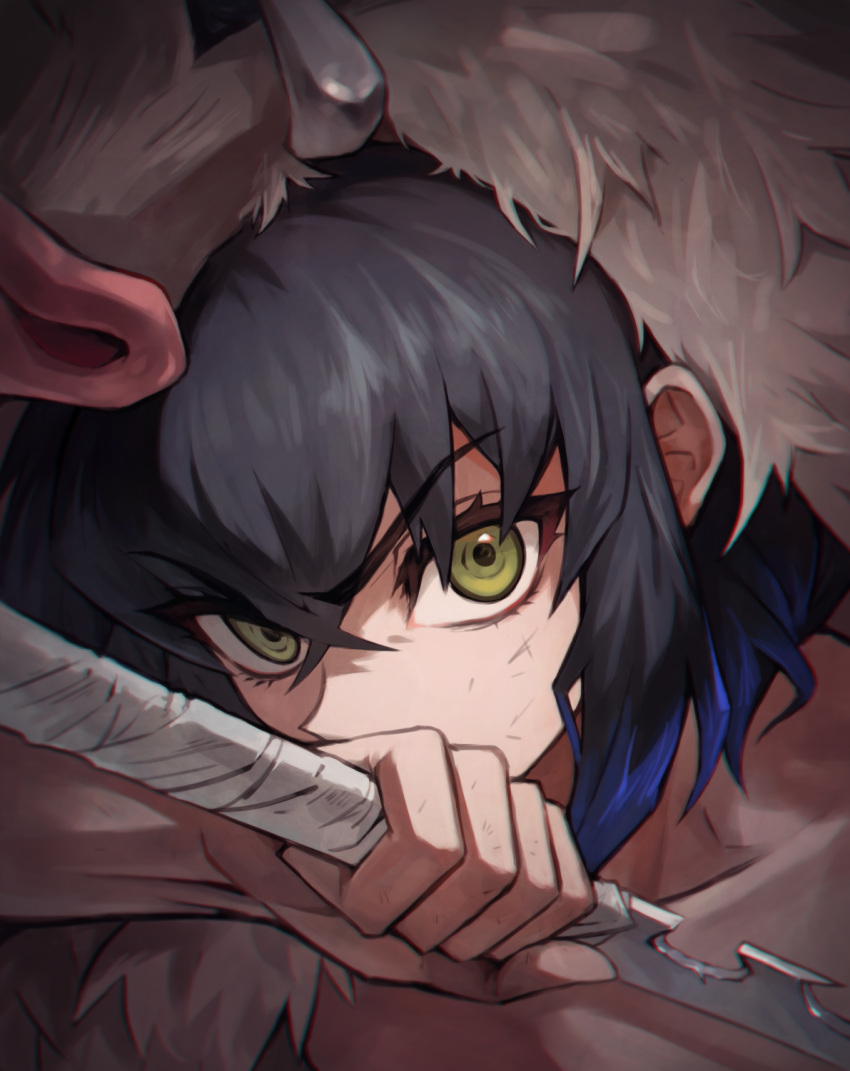 1boy, artist_request, black_hair, face, fur, gradient_hair, green_eyes, hashibira_inosuke