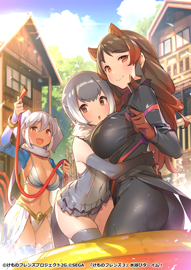 3girls, animal_ears, bare_shoulders, brown_eyes, brown_hair, commentary_request, elbow_gloves, elephant_ears