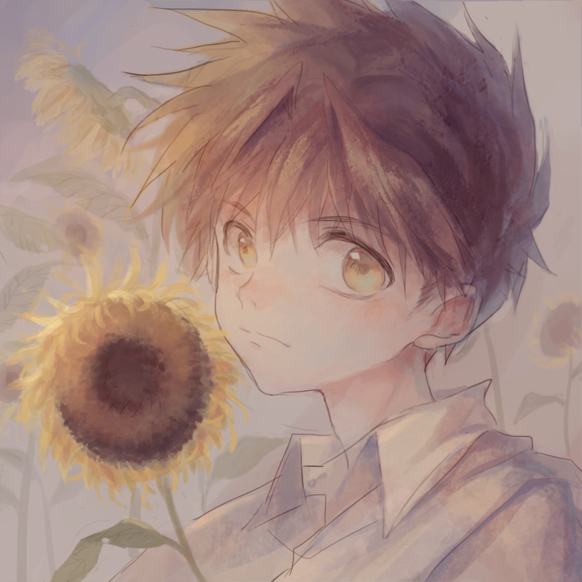 1boy, brown_hair, face, flower, highres, looking_at_viewer, male_focus, max_(744275974), portrait, saiyuki, short_hair, simple_background, son_goku_(saiyuki), sunflower, yellow_eyes