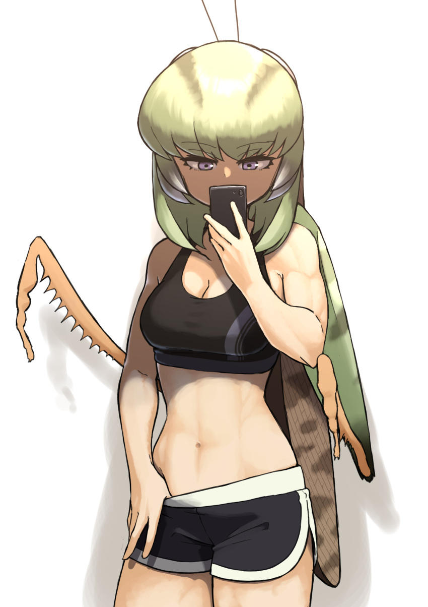 1girl, bug, cellphone, evolvingmonkey, grasshopper, grasshopper_inoue, green_hair, highres