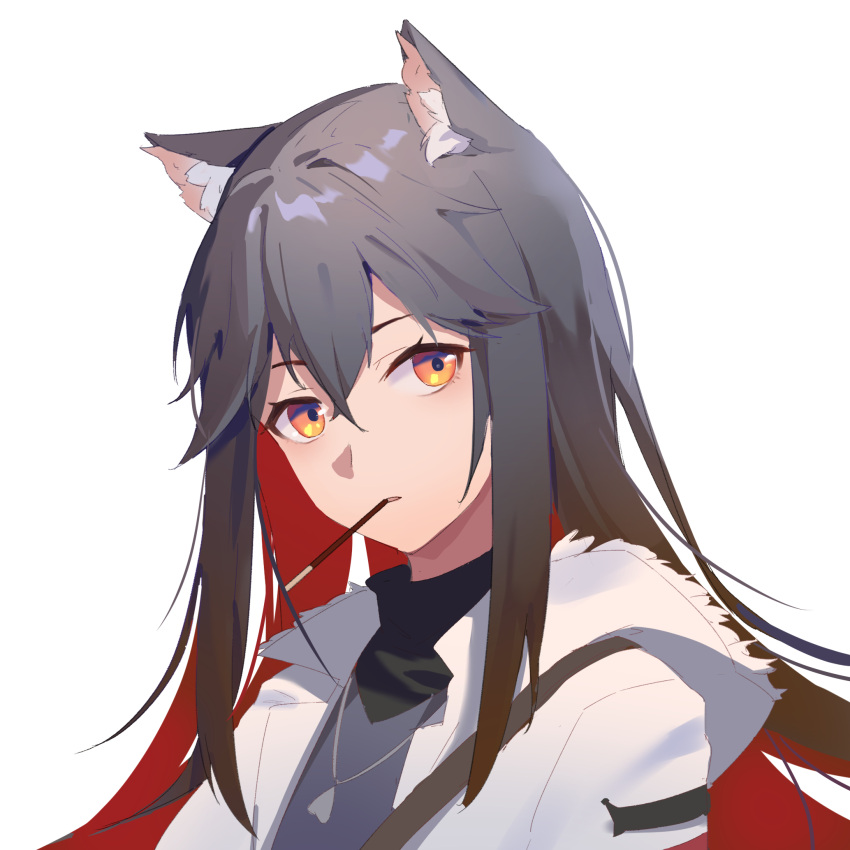 1girl, animal_ear_fluff, animal_ears, arknights, bangs, black_hair, black_shirt, brown_hair, cat_ears, eyebrows_behind_hair, food, food_in_mouth, hair_between_eyes, heart, heart_necklace, highres, hood, hood_down, hooded_jacket, hua_ye, jacket, long_hair, looking_at_viewer, mouth_hold, multicolored_hair, open_clothes, open_jacket, orange_hair, parted_lips, pocky, redhead, shirt, simple_background, solo, texas_(arknights), two-tone_hair, upper_body, white_background, white_jacket