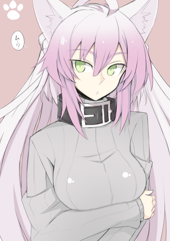 1girl, :o, agrius_metamorphosis, ahoge, animal_ears, atalanta_(alter)_(fate), atalanta_(fate), bangs