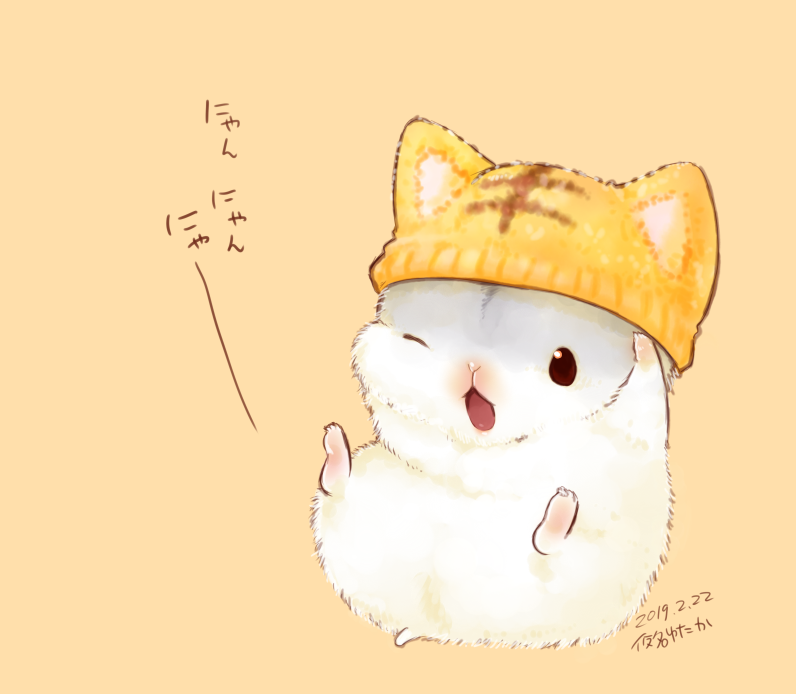 animal, animal_focus, animal_hat, beanie, cat_hat, clothed_animal, dated, full_body