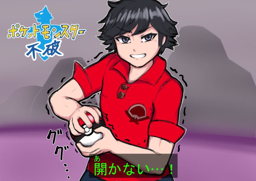 1boy, ball, black_eyes, black_hair, fuwa_isamu, highres, holding, holding_ball