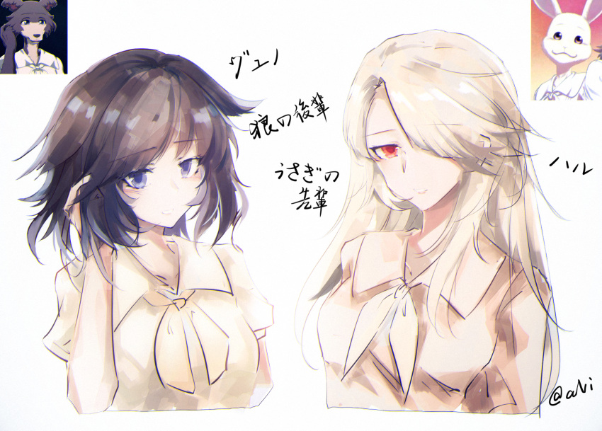 beastars, blue_eyes, brown_hair, cherryton_school_uniform, commentary_request, hair_over_one_eye, haru_(beastars), highres