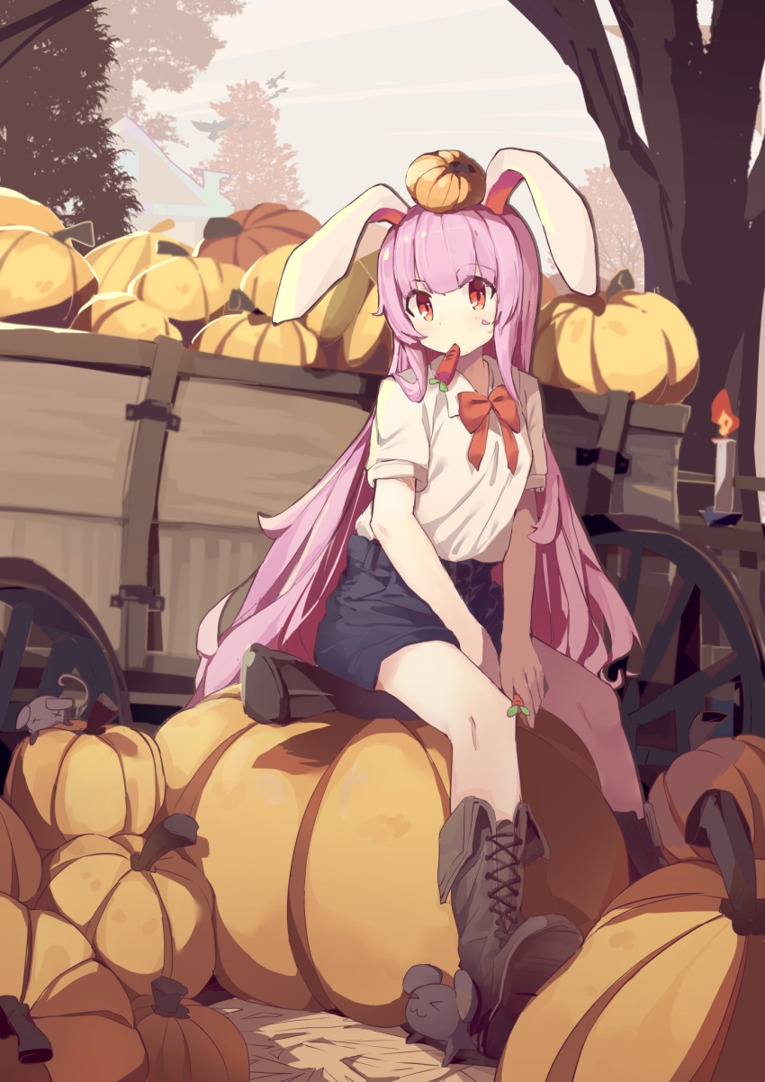 >_<, 1girl, :3, alternate_costume, animal_ears, bangs, bird, blue_shorts