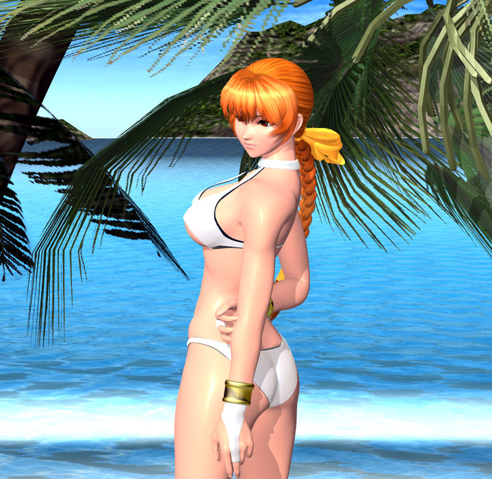bikini, braid, dead_or_alive, kasumi, name_(nahopa!), ocean, palm_tree, single_braid, swimsuit, tree