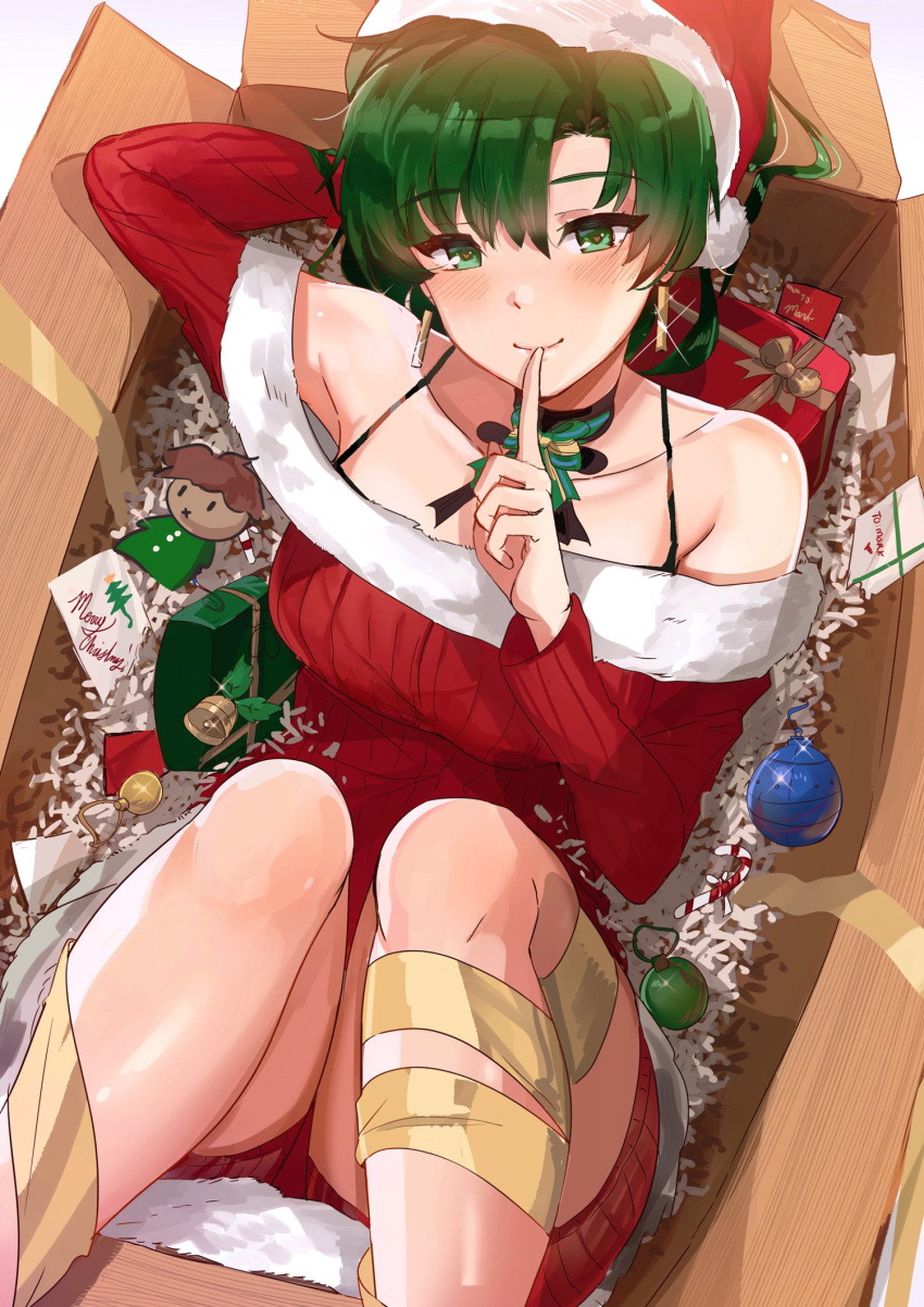 1girl, bell, blush, cameo, candy, candy_cane, character_doll, christmas, christmas_ornaments, christmas_present, earrings, fate/grand_order, fate_(series), fire_emblem, fire_emblem:_rekka_no_ken, fire_emblem_blazing_sword, fire_emblem_heroes, food, fur_trim, green_eyes, green_hair, hair_between_eyes, hat, heart, heart_earrings, highres, intelligent_systems, jewelry, lyn_(fire_emblem), lyndis_(fire_emblem), merry_christmas, nintendo, ormille, ribbon, santa_costume, santa_hat, shh, shuten_douji_(fate/grand_order), smile, solo, super_smash_bros., type-moon, yellow_ribbon