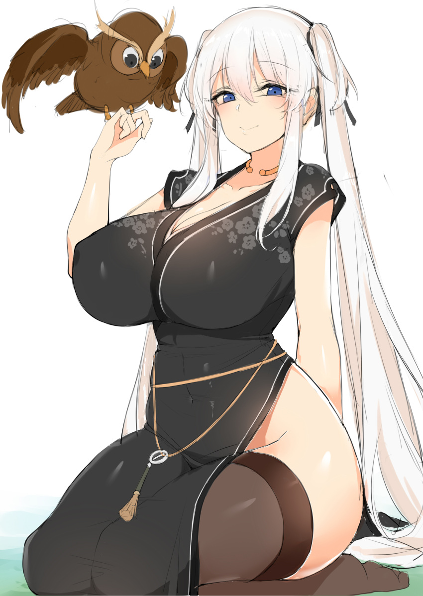 absurdres, arm_behind_back, bird, bird_on_hand, black_dress, black_legwear, black_ribbon, blue_eyes