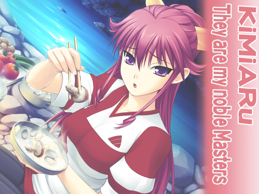 benisu, kimi_ga_aruji_de_shitsuji_ga_ore_de, tagme, venis
