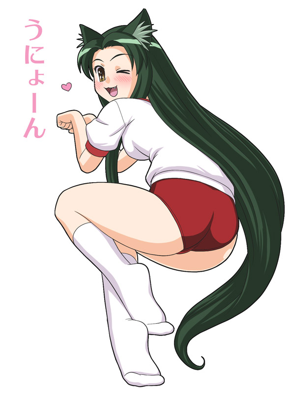 buruma, cat_ears, fang, gym_uniform, long_hair, mem, suzumiya_haruhi_no_yuuutsu, tsuruya