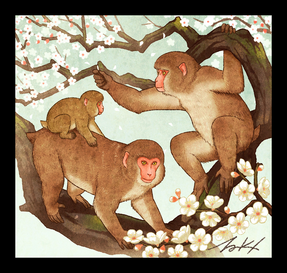 animal, black_border, border, branch, flower, japanese_macaque, looking_at_viewer, monkey