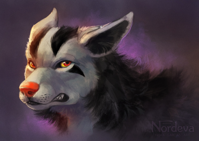 clenched_teeth, commentary, creature, english_commentary, face, gen_3_pokemon, mightyena, no_humans, nordeva, pokemon, pokemon_(creature), purple_background, realistic, red_eyes, sharp_teeth, simple_background, solo, teeth