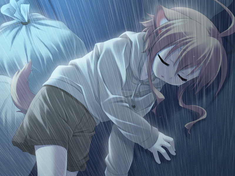 animal_ears, closed_eyes, dog_ears, game_cg, lying, mikan, mikan_(wanko), mizuki_kotora