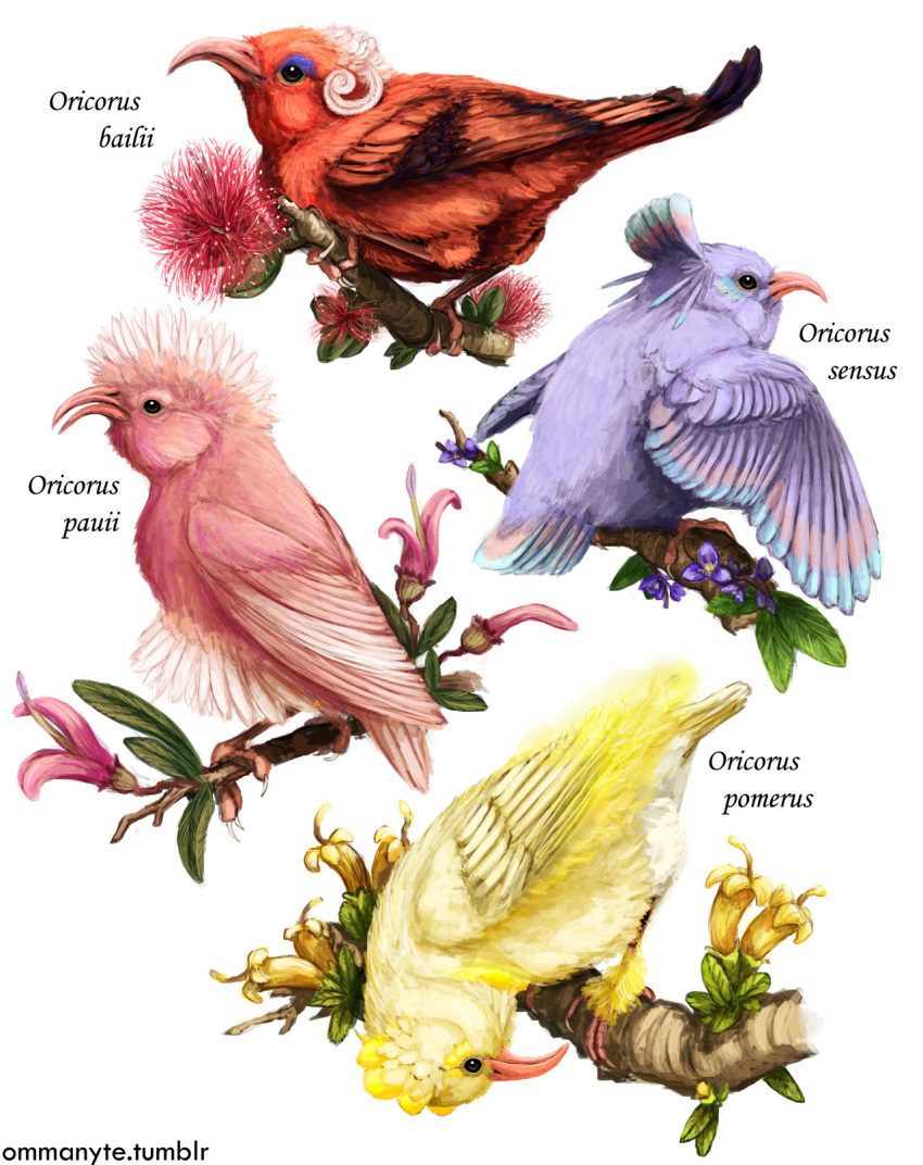 bird, bird_focus, black_eyes, character_name, commentary, creature, english_commentary, flower