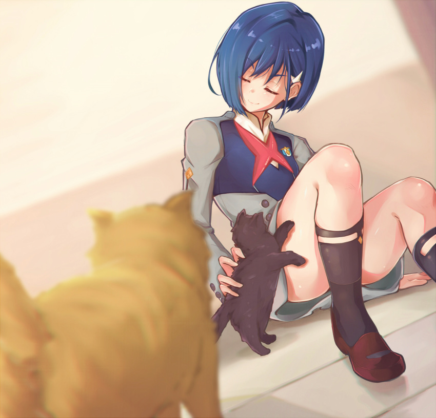 1girl, badge, black_legwear, blue_hair, blurry, blurry_background, blurry_foreground, cat, closed_eyes, darling_in_the_franxx, hair_ornament, hairclip, highres, ibukikun, ichigo_(darling_in_the_franxx), military, military_uniform, school_uniform, shoes, sitting, uniform