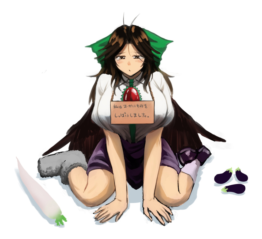 1girl, :/, antenna_hair, bare_arms, bird_wings, black_wings, blouse, bow, breasts, brown_eyes, brown_hair, closed_mouth, collared_blouse, commentary_request, eggplant, food, furrowed_eyebrows, green_bow, green_skirt, hair_bow, half-closed_eyes, huge_breasts, koyubi_(littlefinger1988), long_hair, looking_down, mismatched_footwear, puffy_short_sleeves, puffy_sleeves, raddish, red_eyes, reiuji_utsuho, shoes, short_sleeves, sign, sign_around_neck, single_shoe, sitting, skirt, slit_pupils, solo, tearing_up, third_eye, touhou, translation_request, unhappy, vegetable, wariza, white_blouse, wing_collar, wings