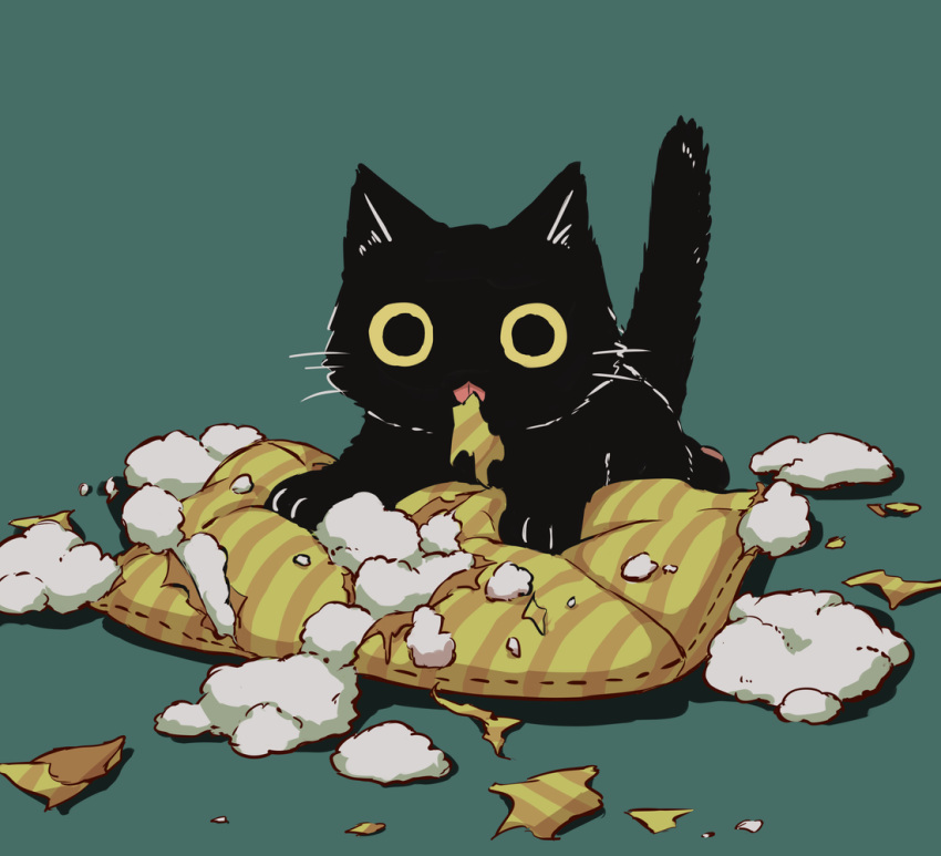 :p, animal, animal_focus, aqua_background, avogado6, black_cat, cat, cat_focus