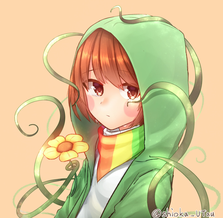 1other, alternate_universe, artist_name, blush_stickers, brown_eyes, brown_hair, chara_(undertale), crying
