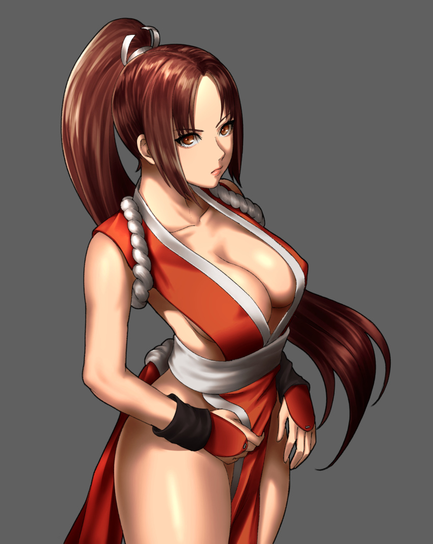 1girl, breasts, collarbone, cowboy_shot, fatal_fury, grey_background, high_ponytail, highres