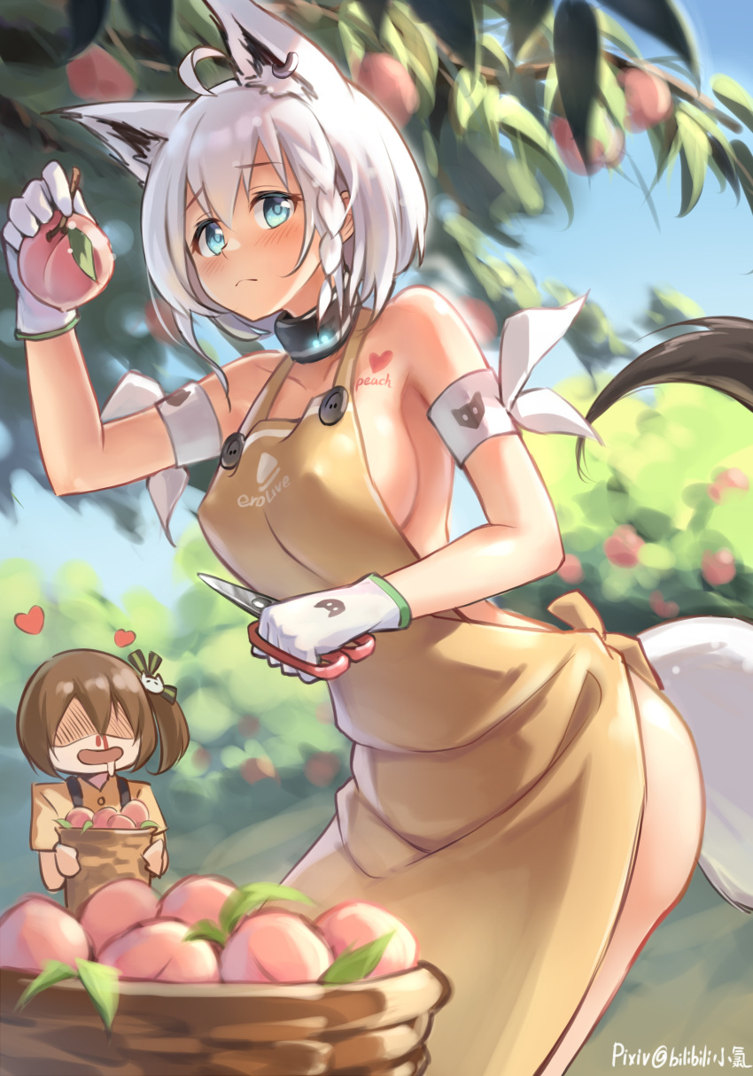 2girls, absurdres, ahoge, alternate_costume, animal_ears, animal_print, apron, armband, armpit_peek, basket, bilibili_xiaolu, blood, blue_eyes, blue_sky, blurry, blurry_background, blush, body_writing, braid, breasts, brown_hair, buttons, cat_print, chibi, closed_mouth, covered_nipples, cowboy_shot, day, drooling, ear_piercing, earrings, eyebrows_visible_through_hair, food, fox_ears, fox_tail, frown, fruit, gloves, hair_ribbon, heart, heart_tattoo, highres, hololive, jewelry, large_breasts, leaning_forward, looking_at_viewer, multiple_girls, naked_apron, natsuiro_matsuri, no_eyes, nosebleed, orange_apron, orange_shirt, outdoors, peach, picking_fruit, piercing, pixiv_username, ribbon, saliva, scissors, shaded_face, shears, shirakami_fubuki, shirt, short_hair, side_braid, side_ponytail, sideboob, sky, solo_focus, standing, suspenders, tail, tattoo, thighs, tree, virtual_youtuber, white_gloves, white_hair, yuri