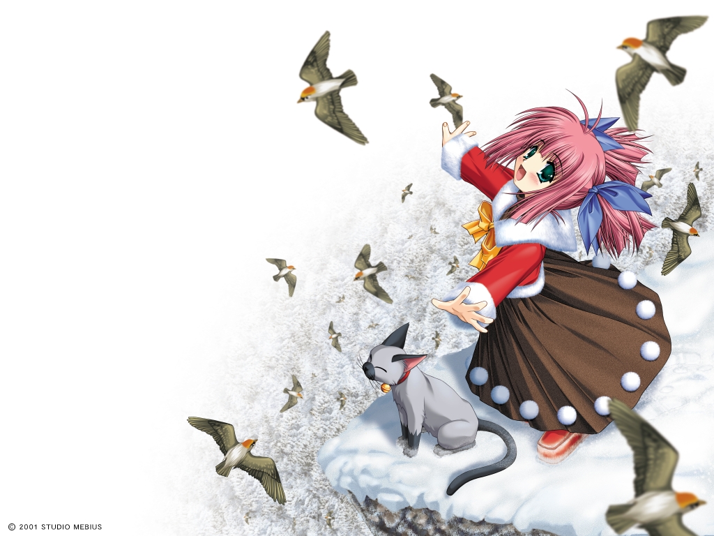 1024x768, asuka_pyon, bell, bell_collar, bird, birds, blush, cat