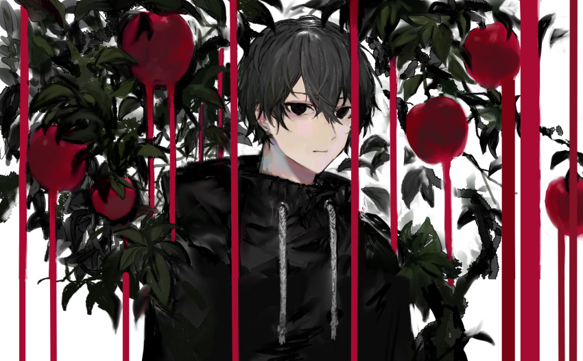 1boy, apple, bishounen, black_eyes, black_hair, black_hoodie, closed_mouth, denki_ryu