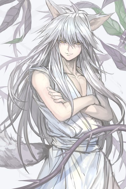 1boy, animal_ears, closed_mouth, cowboy_shot, crossed_arms, fingernails, hankuri, kurama