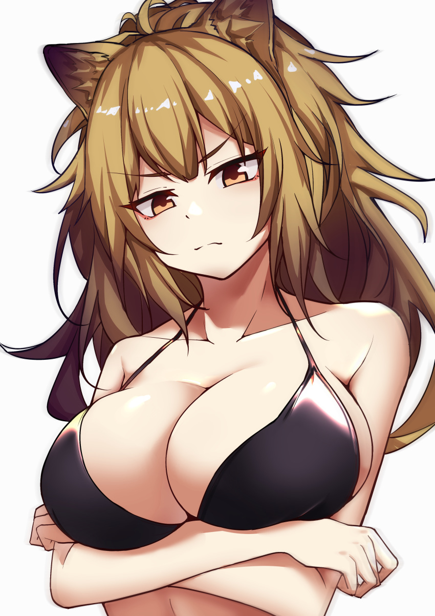 1girl, absurdres, animal_ear_fluff, animal_ears, arknights, bangs, bare_arms, bare_shoulders