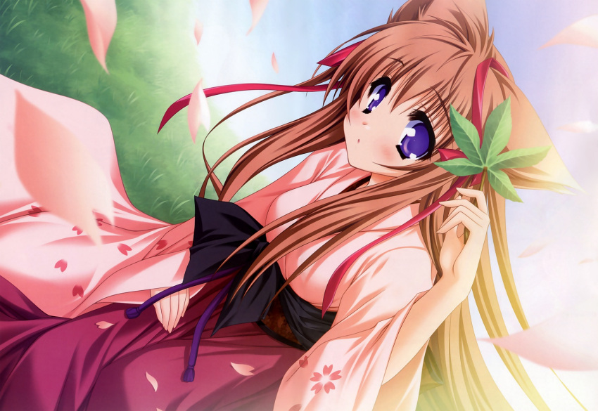 blush, brown_hair, cherry_blossoms, dutch_angle, grass, hair_ribbon, hakama, highres