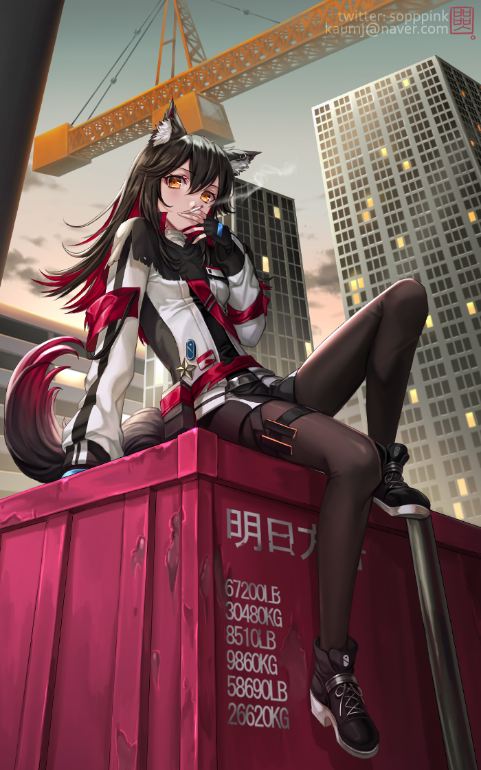 1girl, animal_ear_fluff, animal_ears, arknights, bangs, black_capelet, black_footwear, black_hair
