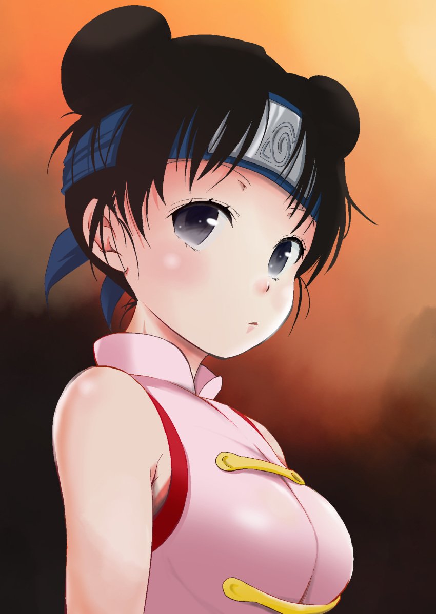 1girl, bangs, black_eyes, black_hair, chinese_clothes, closed_mouth, commentary, double_bun