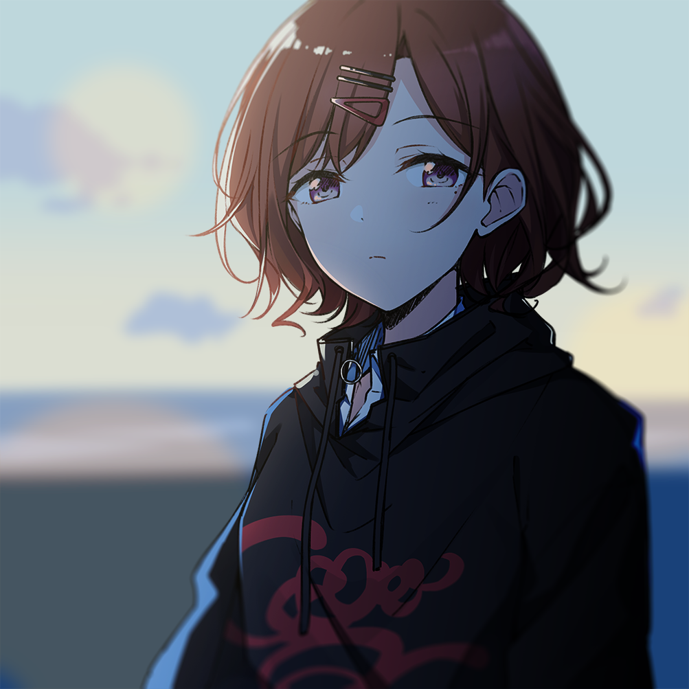 1girl, bangs, black_hoodie, blurry, blurry_background, blush, brown_hair, closed_mouth