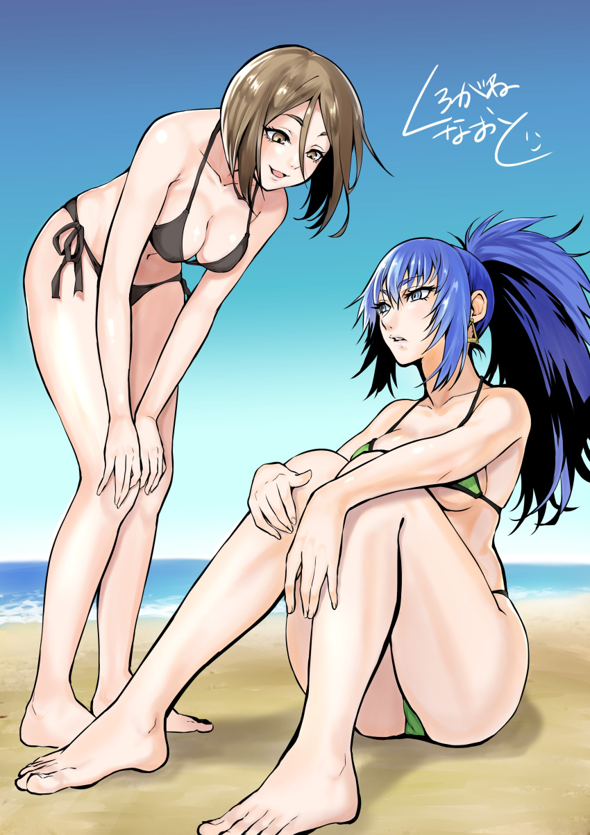 2girls, absurdres, beach, bikini, blue_hair, brown_hair, earrings, highres, jewelry, kurogane_naoto_(churushiko), leona_heidern, multiple_girls, navel, ponytail, sidelocks, swimsuit, the_king_of_fighters, whip_(kof)