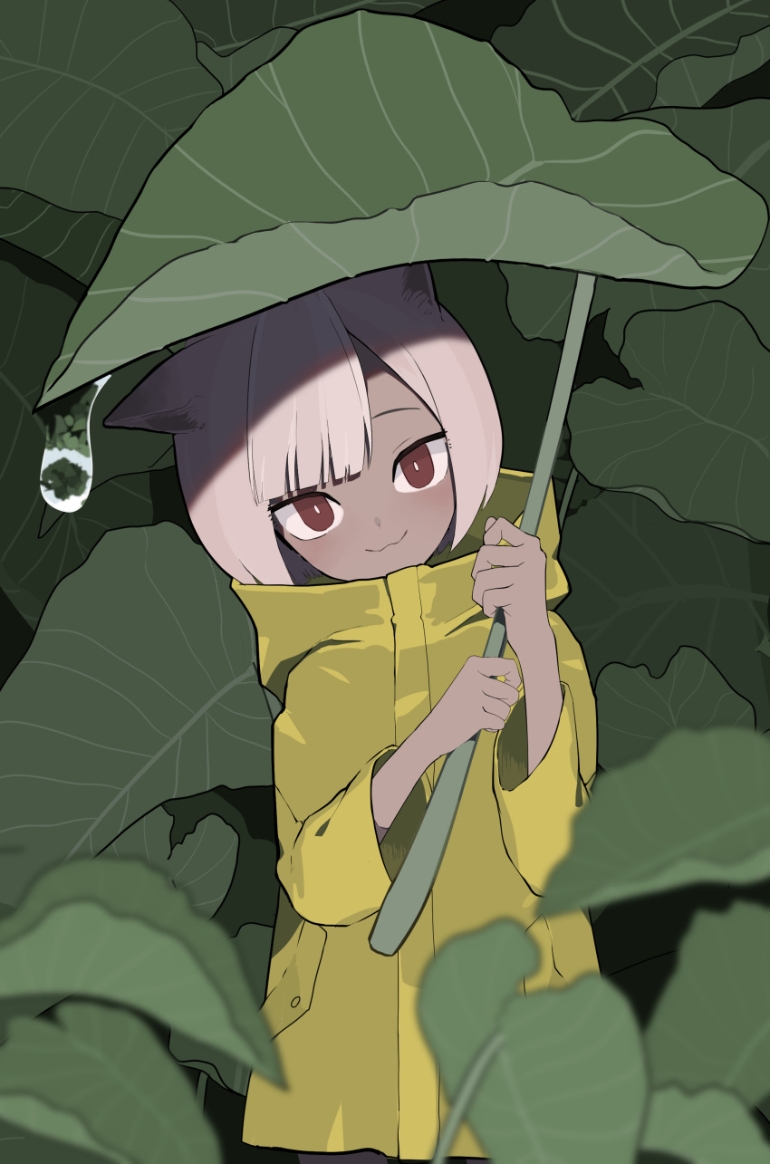 1girl, :3, absurdres, animal_ears, bangs, blunt_bangs, cat_ears, cat_girl, dark_skin, head_tilt, highres, leaf, looking_at_viewer, oissu_tiwassu, original, pink_hair, raincoat, red_eyes, short_hair, water