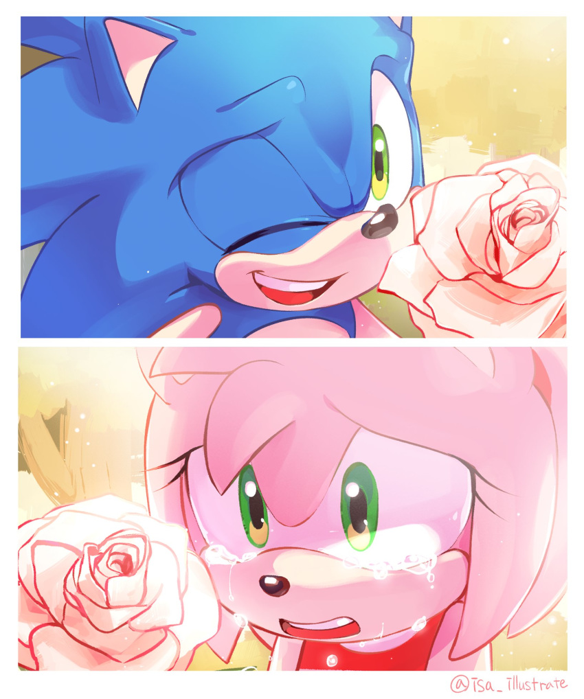 1boy, 1girl, amy_rose, animal_ears, artist_name, crying, crying_with_eyes_open, derivative_work