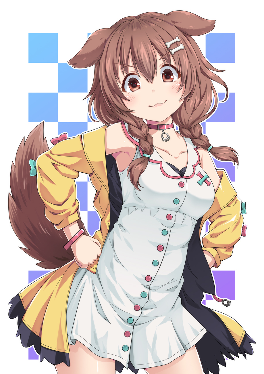 1girl, :3, animal_ears, blush, bone_hair_ornament, bracelet, brown_eyes, brown_hair, choker, collarbone, commentary_request, cowboy_shot, dog_ears, dog_tail, ekakuishikororo, eyebrows_visible_through_hair, hands_on_hips, highres, hololive, inugami_korone, jewelry, long_hair, looking_at_viewer, low_twin_braids, solo, tail, white_background