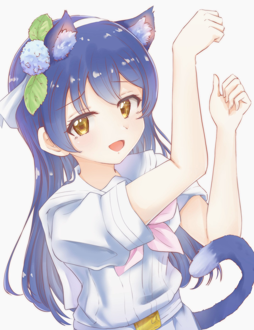 1girl, animal_ears, bangs, blue_hair, blush, cat_ears, cat_tail, commentary_request