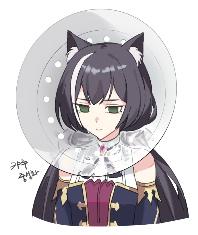 1girl, animal_ear_fluff, bare_shoulders, black_hair, black_ribbon, brooch, closed_mouth, detached_sleeves