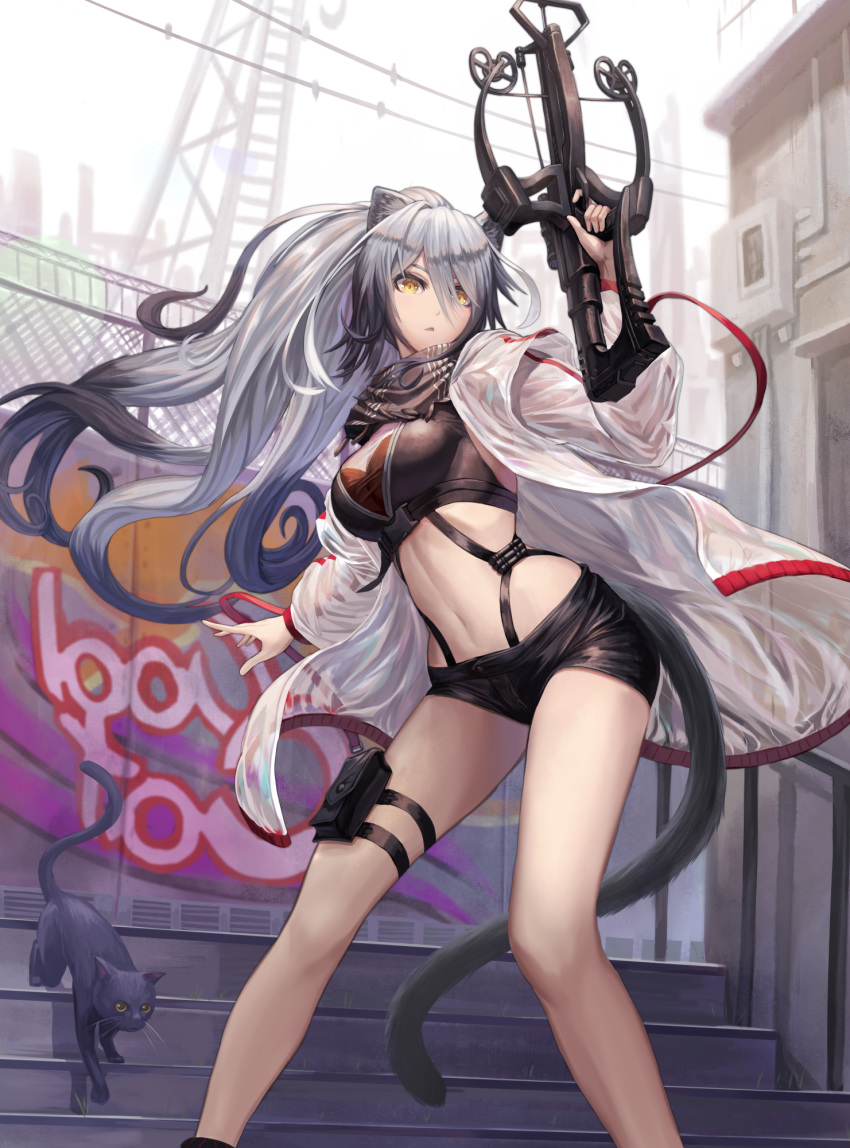 1girl, animal_ears, arknights, bangs, bare_legs, black_cat, black_scarf, black_shorts
