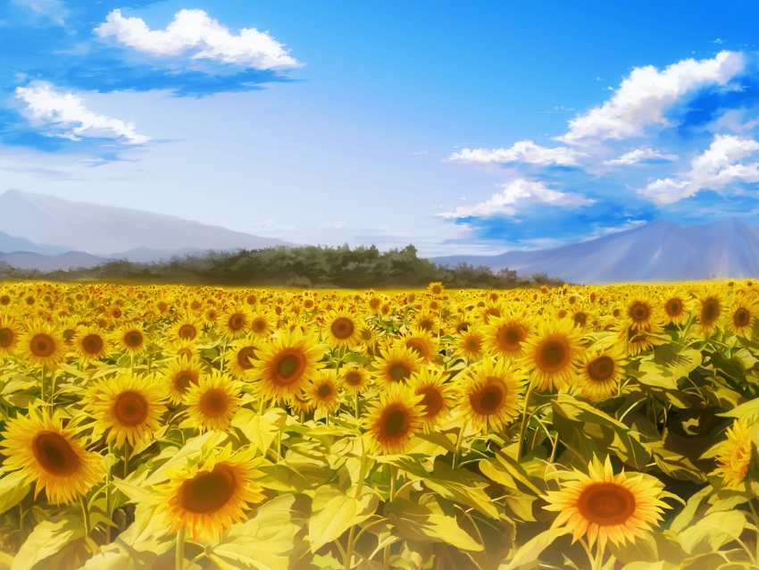 asano_(mkgr), clouds, day, field, flower, highres, mountain, scenery, sky, sunflower