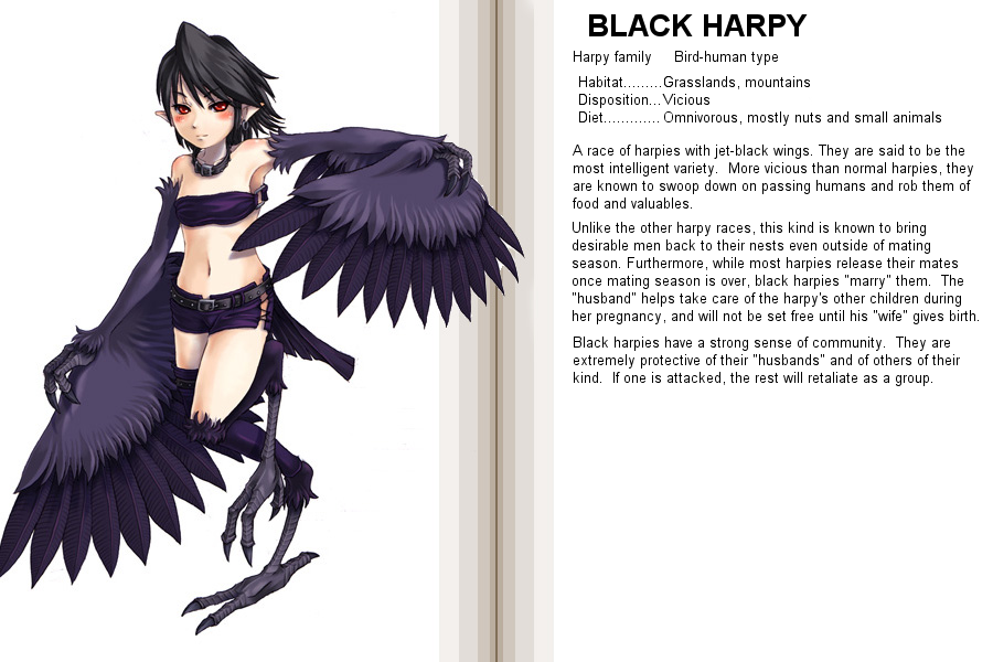 black_hair, black_harpy, blush, character_profile, choker, collar, earrings, feathers