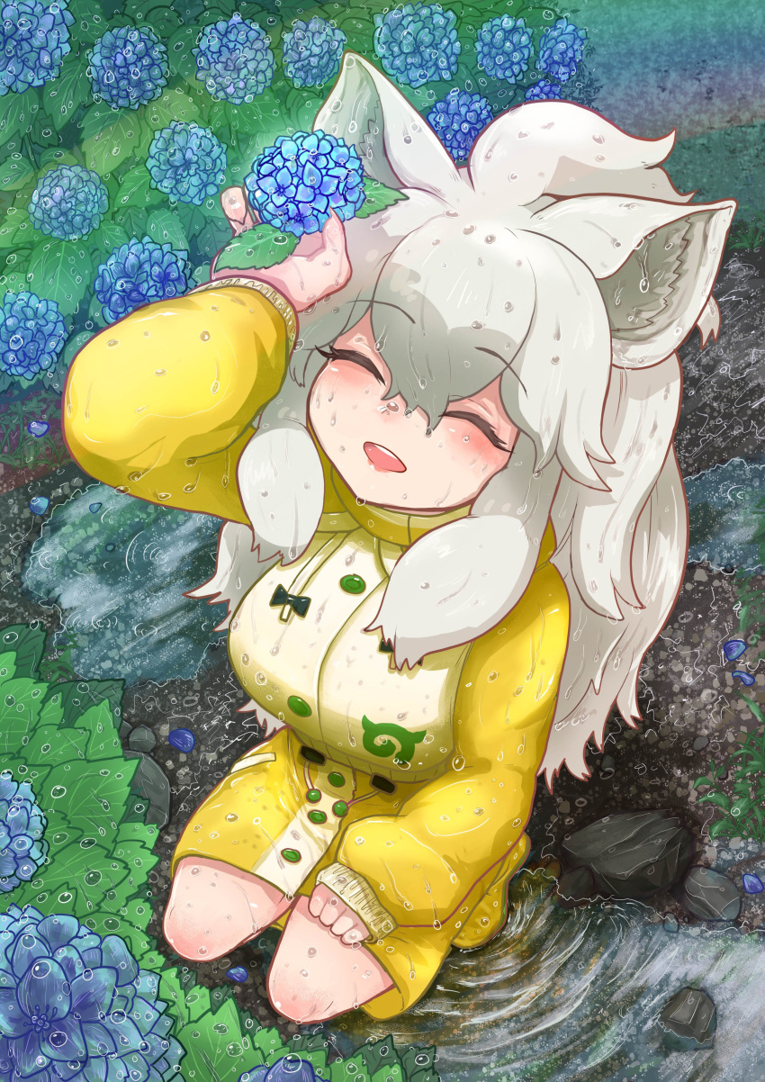 ^_^, absurdres, animal_ears, arm_rest, arm_up, boots, closed_eyes, day, eyebrows_visible_through_hair, flower, from_above, full_body, grey_hair, hair_between_eyes, hand_rest, highres, holding, holding_flower, hydrangea, kemono_friends, komeiponkiti, lion_ears, long_hair, long_sleeves, open_mouth, outdoors, puddle, rain, raincoat, rubber_boots, smile, water, water_drop, wet, wet_clothes, wet_face, wet_hair, white_lion_(kemono_friends)