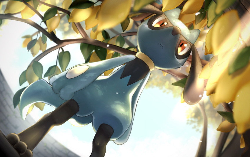 artist_name, blurry, branch, closed_mouth, commentary_request, day, depth_of_field, food, from_below, fruit, gen_4_pokemon, highres, leaf, lemon, light_frown, no_humans, pokemon, pokemon_(creature), prune, red_eyes, riolu, sky, standing, toes, watermark